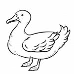 Line Drawing Of Duck -simple Line Stock Photo