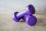 Violet Dumbbell Weights On Grey Background Stock Photo