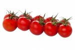 Cherry Tomatoes Arranged In A Row Stock Photo