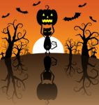 Pumpkins And Black Cat On The Sunset Background Stock Photo