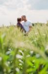 Long Shot Of The Couple Giving Mouth Kiss Stock Photo