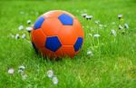 Soccer Ball Stock Photo