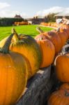 Pumpkin Or Pumpkin Sale Stock Photo