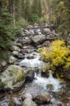 Rapids In Yellowstone Stock Photo