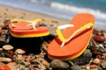 Flip-flops Stock Photo