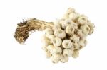 Group Of Dry Garlic With Pole Focus At Head On White Background Stock Photo