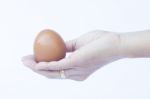 Hand Holding Egg Isolated On White Background Stock Photo