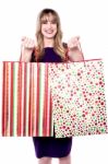 Shopping Woman Holding Bags Stock Photo