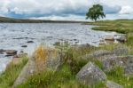 Countryside At Lochindorb Stock Photo