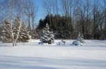 Beautiful Snow-covered Winter Day Stock Photo