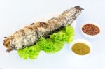 Grilled Salted Catfish Stock Photo