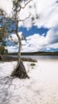 Brown Lake On Stradbroke Island, Queensland Stock Photo