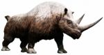 Woolly Rhinoceros Stock Photo