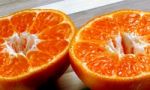 Mandarin Orange Stock Photo