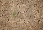 Dry Cracked Soil Stock Photo