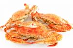 Crabs Stock Photo