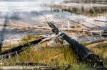 Grand Prismatic Spring Stock Photo