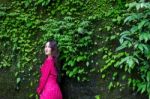 Summer Portrait Of Young  Women Enjoying Nature  In Tight Fitting Red Dress Summer Vacation,sunny,having Fun, Positive Mood,romantic, Against Background Of Summer Green Park, Green Leaves Stay Outdoor Stock Photo