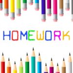 School Education Indicates Learning Homework And Study Stock Photo