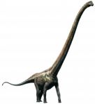 Mamenchisaurus Stock Photo