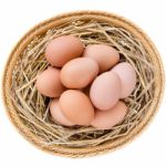 Brown Chicken Eggs In Basket Stock Photo