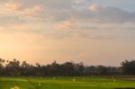 Northern Thailand Green Field Landscape In Morning Stock Photo