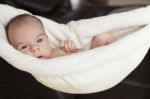 Newborn Baby Hanging Stock Photo