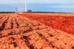 Ground For Planting Cassava Stock Photo