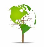 Tree Shaped World Map Stock Photo