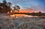 Colorful Autumn Dawn. Wood Near The River Stock Photo