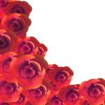 Roses Copyspace Represents Flora Romance And Flower Stock Photo