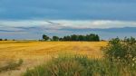 Rural Farm Stock Photo