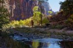 Virgin River Canyon Stock Photo