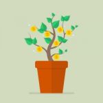 Money Plant Flat Icon Stock Photo