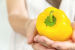 Hand Holding Sweet Pepper Stock Photo