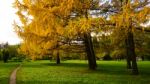 Autumn Season In Russia Moscow Stock Photo