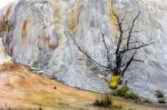 View Of Mammoth Hot Springs Stock Photo