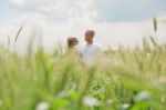 Long Shot Of A Newly Married Couple Stock Photo