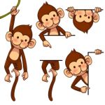 Funny Monkey Stock Photo