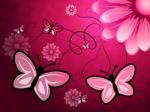 Butterflies On Flowers Indicates Florist Butterfly And Bloom Stock Photo