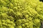 Close Up Of Beautiful Typical Roman Broccoli Stock Photo