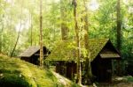 House And Stone In Forest Stock Photo