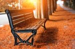 Empty Bench In The Autumnal Park Stock Photo