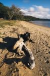 Adams Beach On Stradbroke Island, Queensland Stock Photo