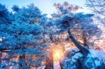 Sunrise On Deogyusan Mountains Covered With Snow In Winter,south Korea Stock Photo