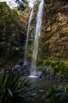 Twin Falls Waterfall Located In Springbrook National Park Stock Photo