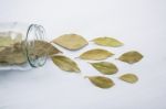 Dried Bay Leaves In Glass Jar On White Wooden Background Stock Photo