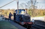 Bluebell Steam Train At Sheffield Park Station Stock Photo