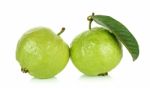 Guava Fruit Isolated On The White Background Stock Photo