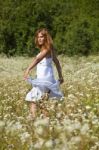 young Woman In Meadow Stock Photo